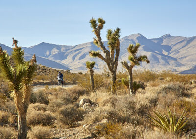 moto trails usa california